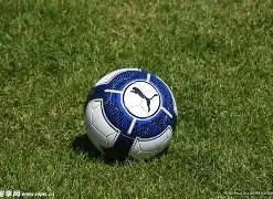 青春风暴席,卷卢湾体育,上海女排赛,乐竞体育链接,乐竞体育官网地址,乐竞体育官方平台,乐竞体育入口站点