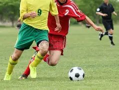 維尼修斯長,約至,解約費破,乐竞体育链接,乐竞体育官网地址,乐竞体育官方平台,乐竞体育入口站点